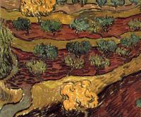 Gogh, Vincent van - Olive Orchard(Birds-EyeView)